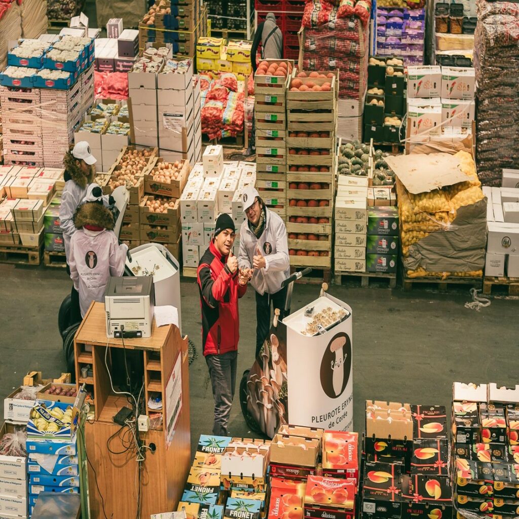 Le pleurote royal coréen au Marché de Rungis
